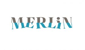 merlin project 300x178