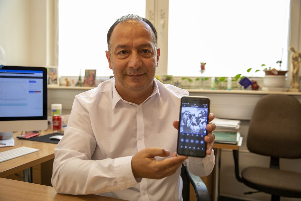 Hazem Kalaji