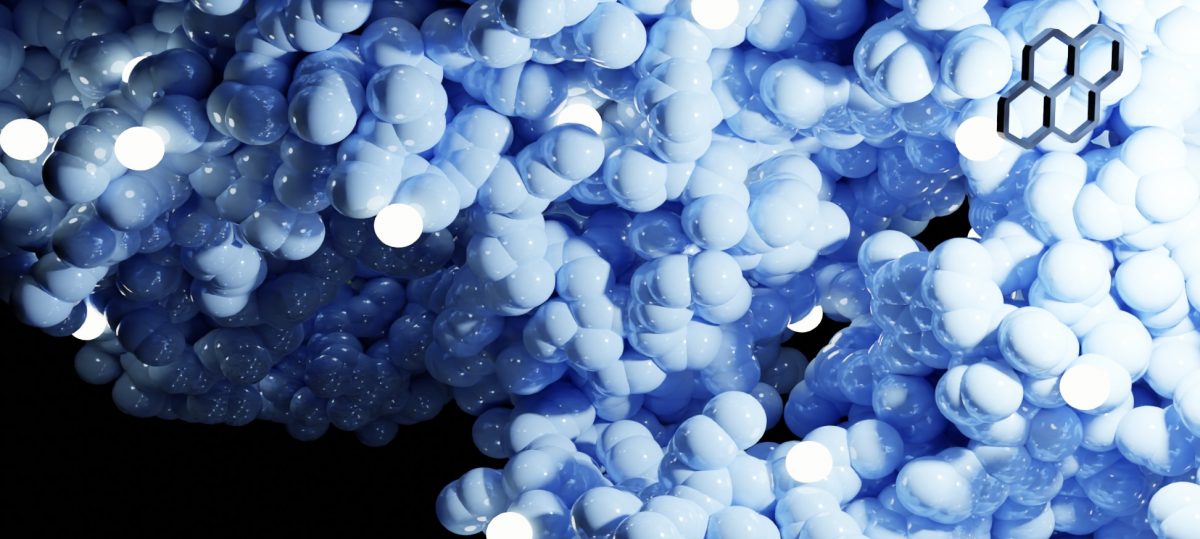 Konferencja Nanobiotechmedyczna na SGGW