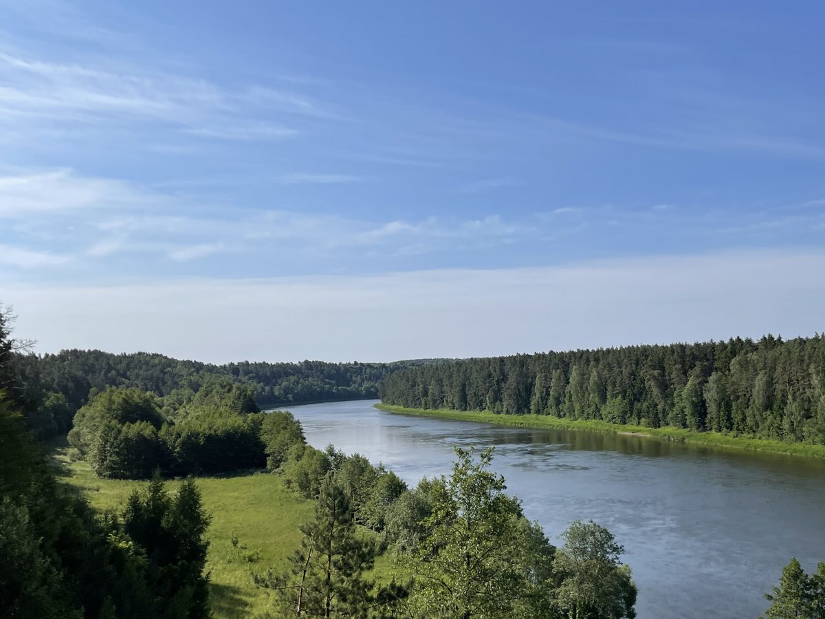 kąpiele leśne sggw