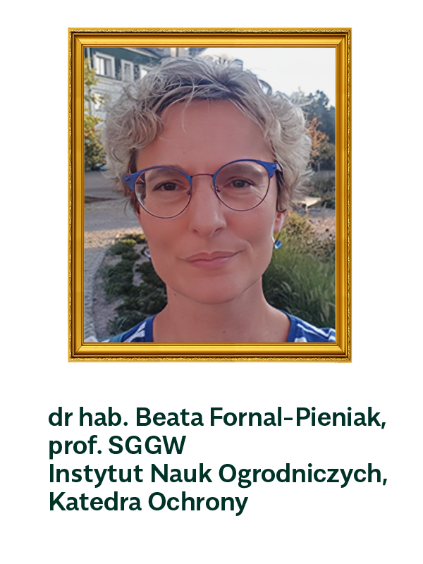 dr hab. Beata Fornal-Pieniak, prof. SGGW Instytut Nauk Ogrodniczych, Katedra Ochrony
