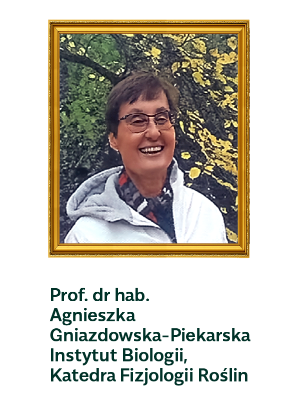 prof. dr hab. Agnieszka Gniazdowska-Piekarska Instytut Biologii, Katedra Fizjologii Roślin