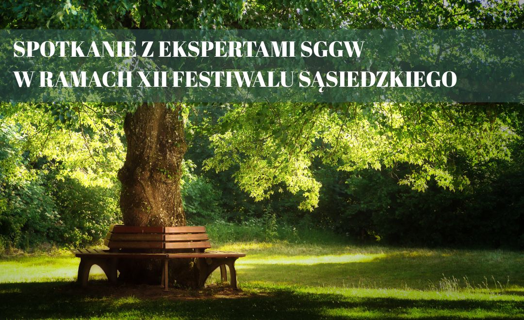 park miejski, drzewo i ławka