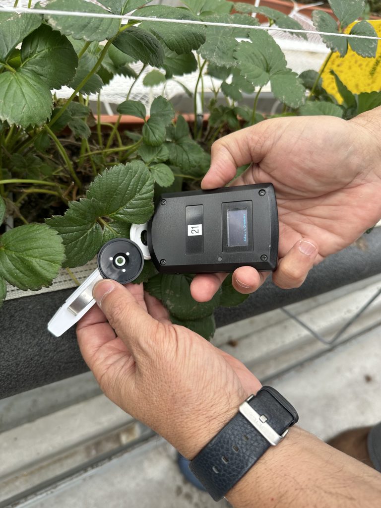 Fluomrymetr PlantECG