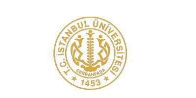 Logo İstanbul University