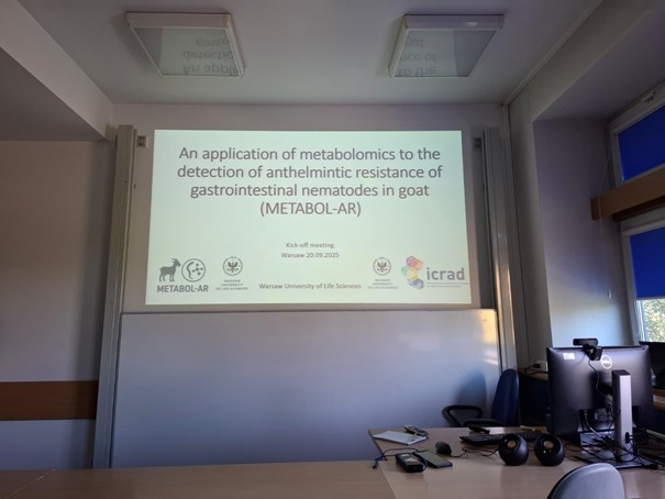 Tablica z prezentacją