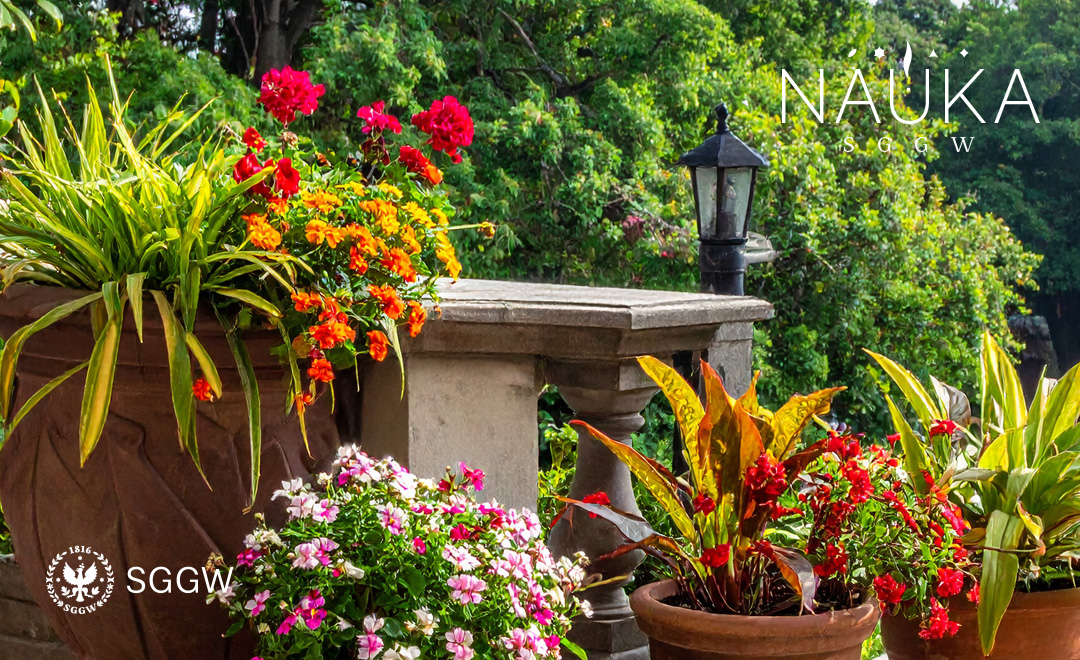 Kwitnące rośliny