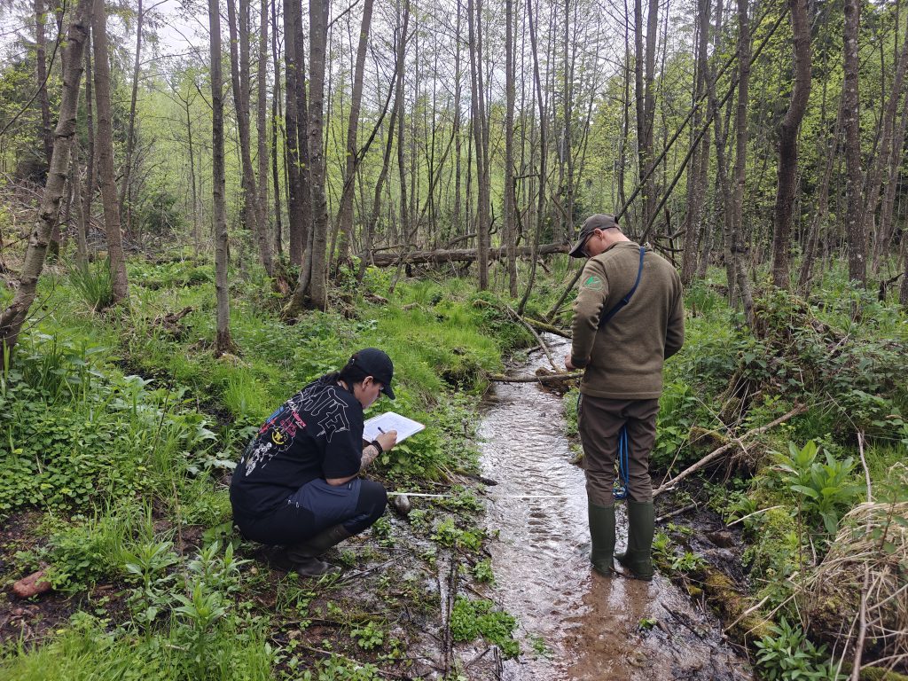 Dwóch Naukowców badających wodę w strumieniu