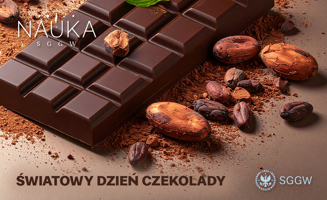 Czekolada oraz ziarna czekolady na blacie